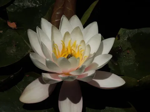 智能号码选号